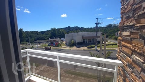 Image 10 - 255093